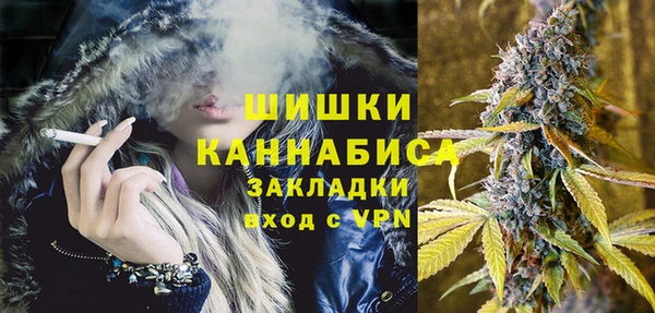 PSILOCYBIN Аркадак