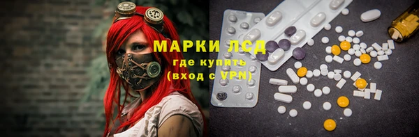 PSILOCYBIN Аркадак