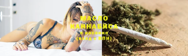 индика Армянск