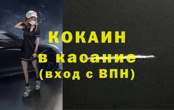 индика Армянск