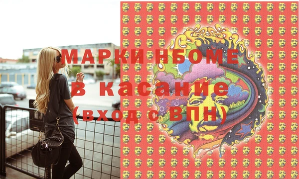 индика Армянск