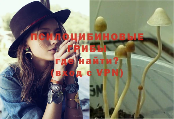 PSILOCYBIN Аркадак
