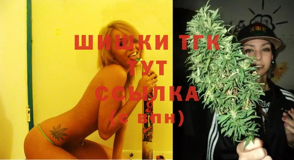 PSILOCYBIN Аркадак