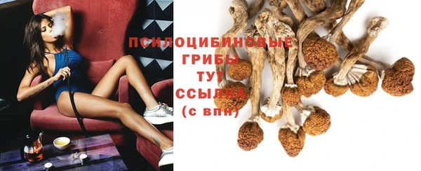 метадон Арсеньев