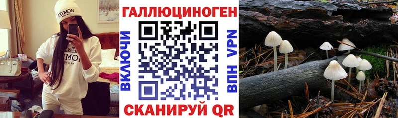 Псилоцибиновые грибы ЛСД Мантурово